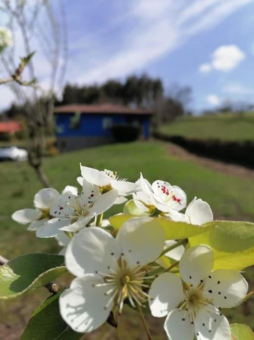 Willa La Casa Azul De Lua Un Lugar Magico Juncedo Zewnętrze zdjęcie