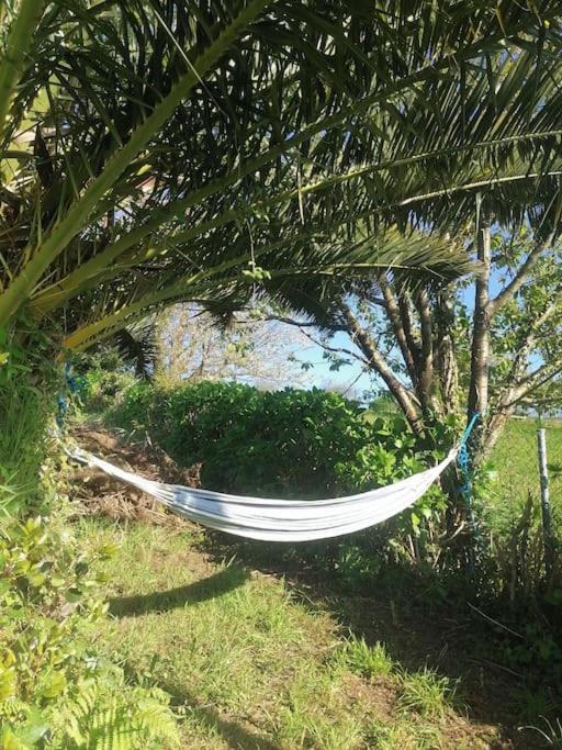 Willa La Casa Azul De Lua Un Lugar Magico Juncedo Zewnętrze zdjęcie