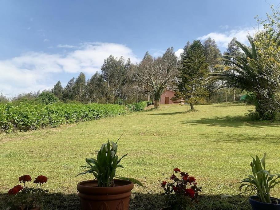 Willa La Casa Azul De Lua Un Lugar Magico Juncedo Zewnętrze zdjęcie