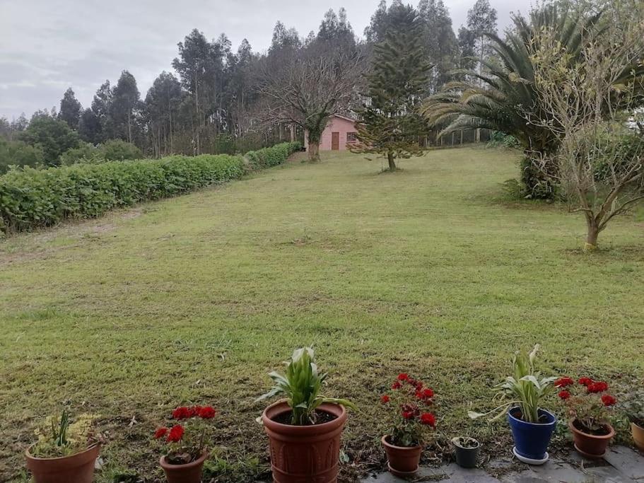 Willa La Casa Azul De Lua Un Lugar Magico Juncedo Zewnętrze zdjęcie